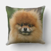 カメラを見るポメラニア犬のHeadshot クッション (裏面)
