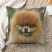 カメラを見るポメラニア犬のHeadshot クッション (ブランケット)
