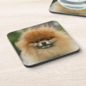 カメラを見るポメラニア犬のHeadshot コースター (左側)