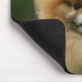 カメラを見るポメラニア犬のHeadshot マウスパッド (コーナー)