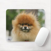カメラを見るポメラニア犬のHeadshot マウスパッド (マウス)