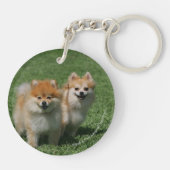 カメラを見る2ポメラニア犬 キーホルダー (裏面)