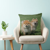 カメラを見る2ポメラニア犬 クッション (椅子)