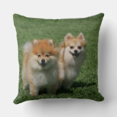 カメラを見る2ポメラニア犬 クッション (裏面)