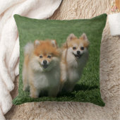 カメラを見る2ポメラニア犬 クッション (ブランケット)