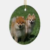 カメラを見る2ポメラニア犬 セラミックオーナメント (右)