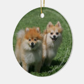 カメラを見る2ポメラニア犬 セラミックオーナメント (左)