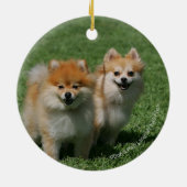 カメラを見る2ポメラニア犬 セラミックオーナメント (裏面)