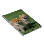 カメラを見る2ポメラニア犬 ノートブック (右側)