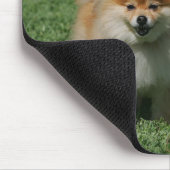 カメラを見る2ポメラニア犬 マウスパッド (コーナー)