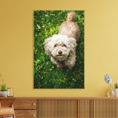 カメラを見上げる小さな犬 キャンバスプリント (インサイチュ (リビング))