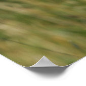 カメラを見詰めるボクサー犬 ポスター (角)