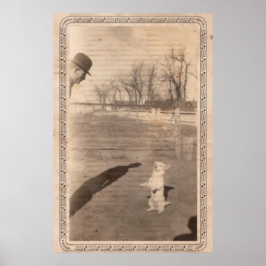 カメラオブスプラ#351 ポスター (正面)