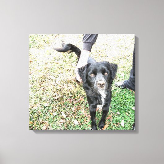 カメラキャンバスプリント用のスモーキーポーズ キャンバスプリント (正面)