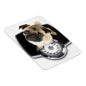 カメラフランスのを見てはかりで測おべっか使う マグネット (右側)