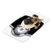 カメラフランスのを見てはかりで測おべっか使う マグネット (左側)