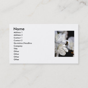 カメラマンの名刺 名刺