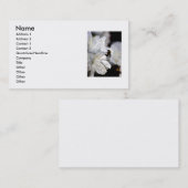 カメラマンの名刺 名刺 (正面/裏面)