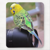 カメラレンズに黄色、緑、青のエキゾチックな鳥 マウスパッド (正面)