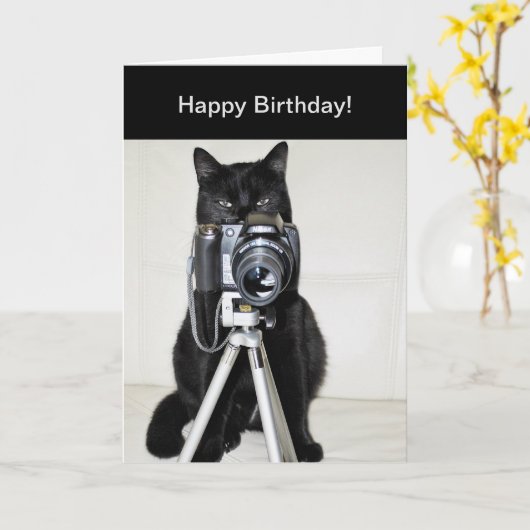 カメラ付きの猫 カード (黄色い花)