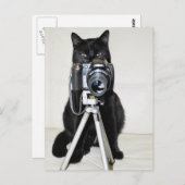 カメラ付き猫 ポストカード (正面/裏面)