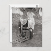 カメラ付き猫， 1936 ポストカード (正面/裏面)