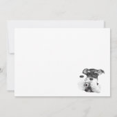 カメラ付シュナウザー カード (裏面)