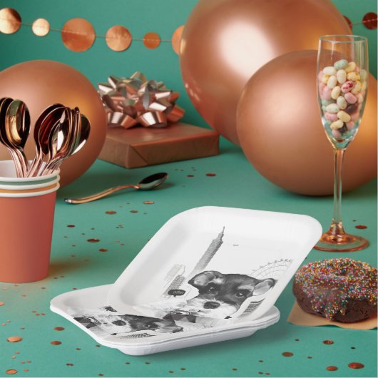 カメラ付シュナウザー ペーパープレート (複数)