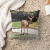 カメラ写真を見ている鹿 クッション (ブランケット)