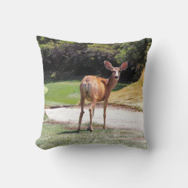 カメラ写真を見ている鹿 クッション