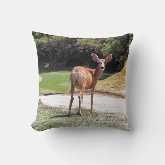 カメラ写真を見ている鹿 クッション (正面)