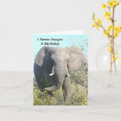 カメラ用象歩く カード (黄色い花)