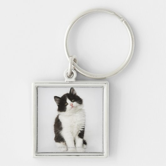 カメラ若い子ネコの着席の検討 キーホルダー (正面)