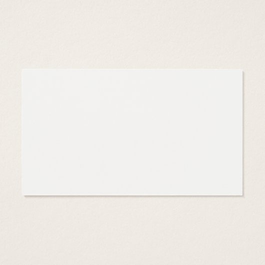 カメラ |レンカラフルズ (裏面)