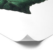 カメリアの植物性プレミアム品質プリント ポスター (角)