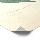 カメリアキャンバス印刷 ポスター (角)