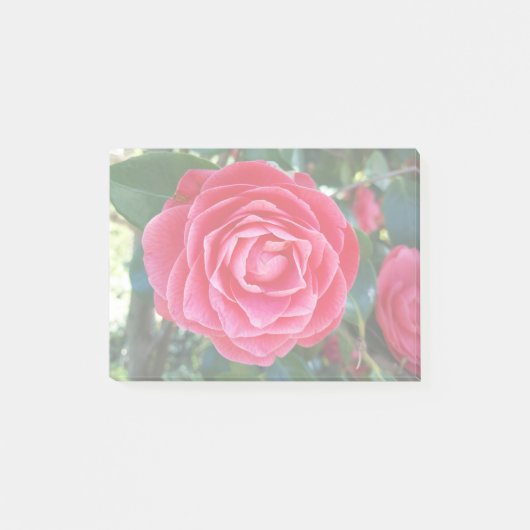 カメリアノート ポストイット (正面)