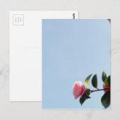 カメリアピンクフラワーブルースカイ ポストカード (正面/裏面)