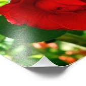 カメリア誇りを持った フォトプリント            (角)