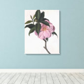 カメリア1998 キャンバスプリント (インサイチュ (ウッドフロア))