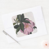 カメリア1998 スクエアシール (封筒)