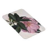 カメリア1998 マグネット (右側)