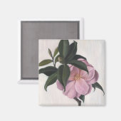 カメリア1998 マグネット (正面/裏面)