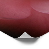 カメリア4 ポスター (角)