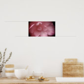 カメリア4 ポスター (キッチン)