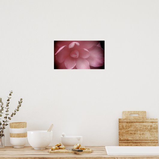 カメリア4 ポスター (キッチン)