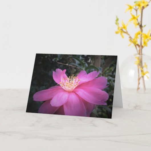 カメリア、カード カード (黄色い花)