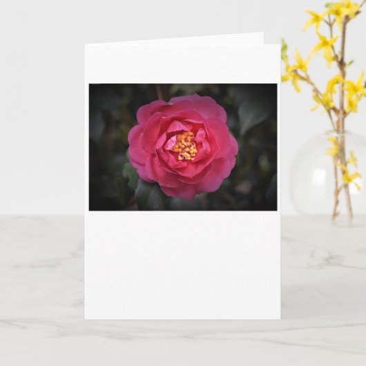 カメリア、カード カード (黄色い花)