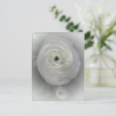 カメリ日本のア ポストカード (スタンド正面)