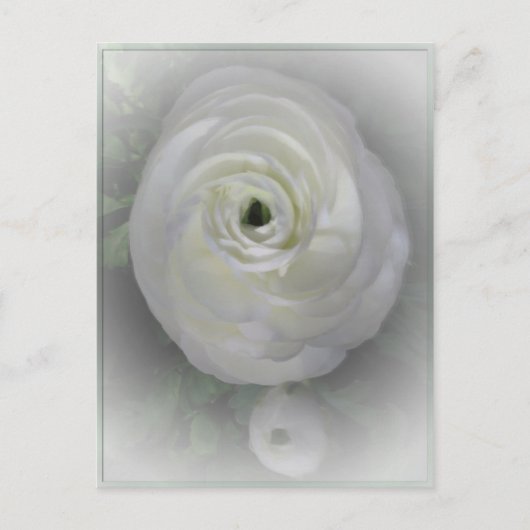 カメリ日本のア ポストカード (正面)